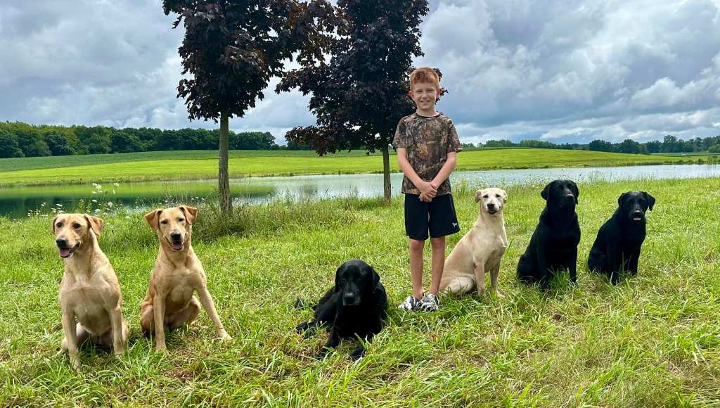 The Labrador Retriever